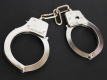 Задержан подозреваемый в расчленении женщины в Шушарах