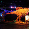 Фото Грандиозное «Шоу динозавров» в Ленэкспо