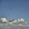 Фото 3-й Пушкинский фестиваль воздушных змеев