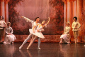 Фото Спящая красавица (Школа классического балета им. Н.А. Долгушина)