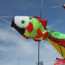 Фото V Фестиваль воздушных змеев Летать легко!