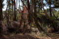 Фото Tomb Raider: Лара Крофт