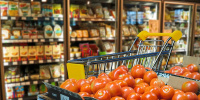 Супермаркеты для экономных запускает петербургская «Лента»