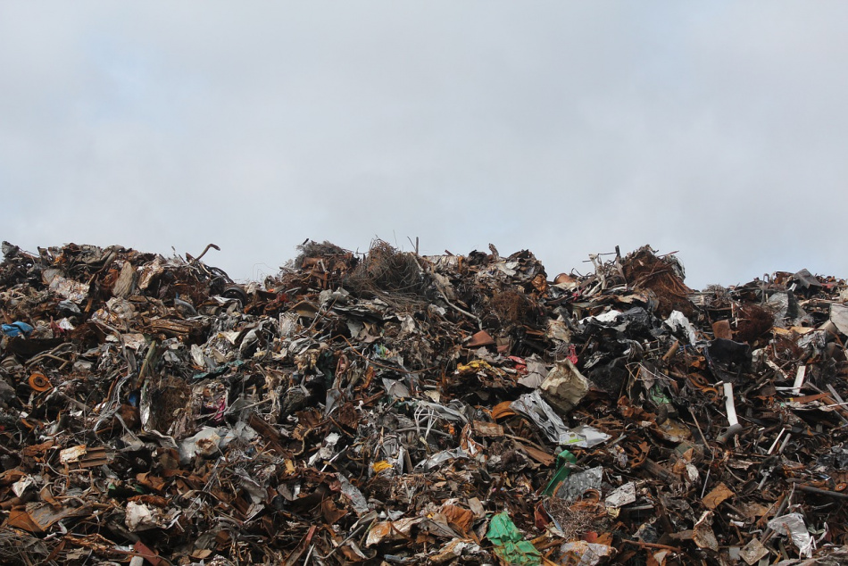 В Петербурге участники эко-акции «Чистые игры» собрали более трех тонн мусора