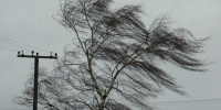 МЧС: 11 февраля в Петербурге ожидается усиление ветра до 18 метров в секунду