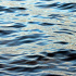 Мужчина утонул в озере Долгом в Петербурге