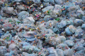 Жители бьют тревогу: рядом с Петергофом может появиться мусорный полигон