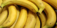 Эксперты объяснили ждать ли россиянам исчезновения бананов