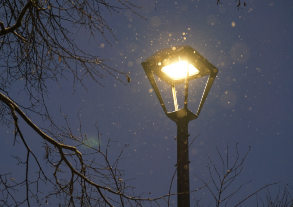 В Малоохтинском парке установят новое освещение
