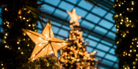 До 14 января в Петербурге не будут убирать новогоднее убранство 