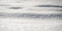 Петербург обновил максимум снежного покрова этой зимы 