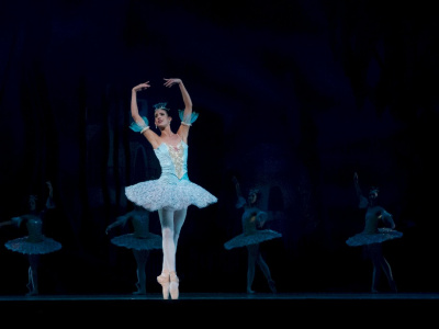 Фото Выставка Николай Цискаридзе. Моя жизнь в балете