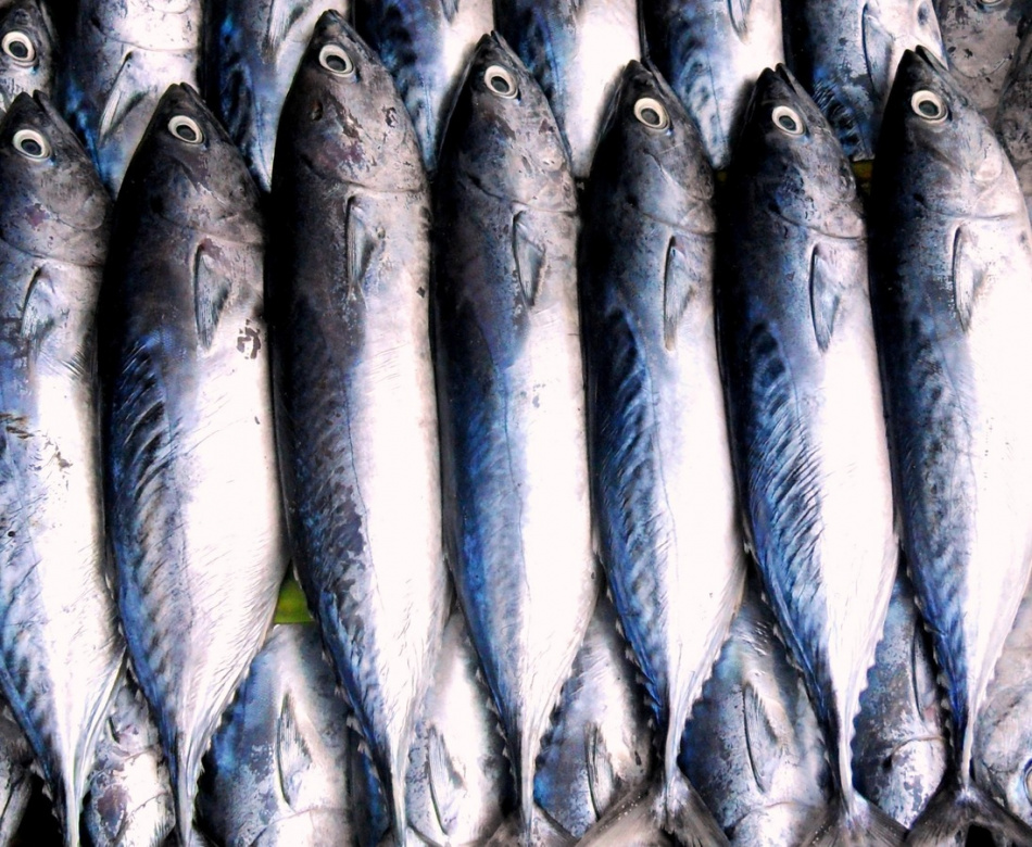 Назван доступный и недооцененный продукт для здоровья суставов