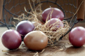 В ФАС напомнили о запрете повышения цен на яйца
