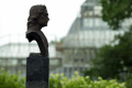 Ботанический сад Петра Великого переходит на летний режим работы 