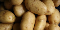 Диетолог рассказал, как сделать картофель полезным 
