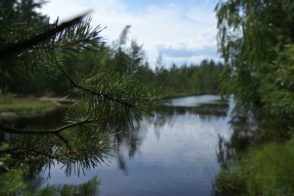 В России планируют открыть новые зоны отдыха у водоемов для туристов