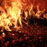 В Красносельском районе горит частный дом