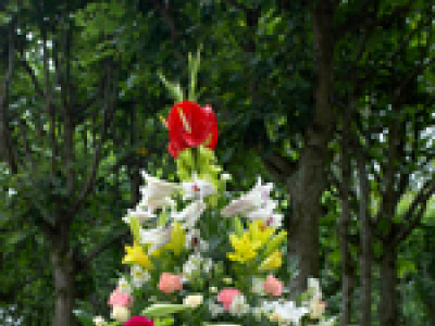 Фото Х Фестиваль цветов «Императорский букет» 