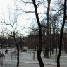 Фото Александровский парк
