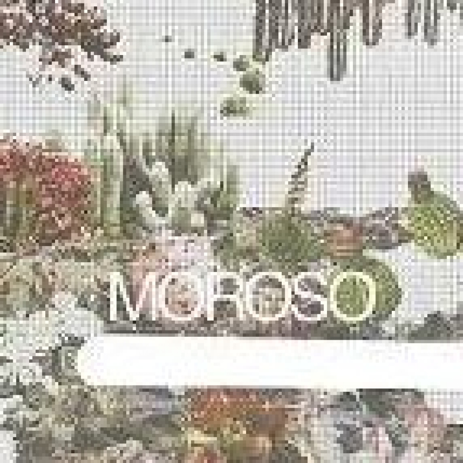 Специальное предложение от фабрики MOROSO