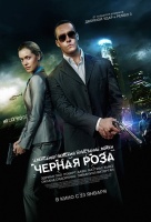 Черная роза Черная роза