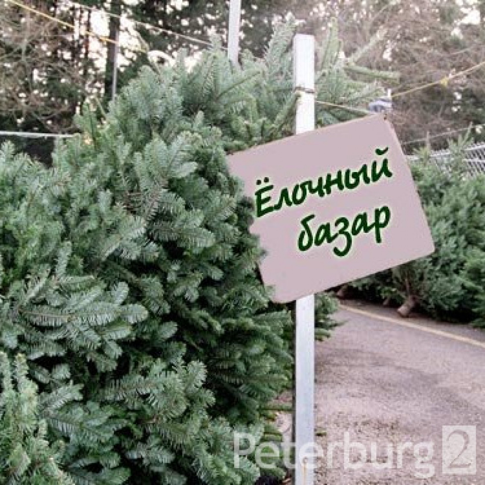Адреса всех елочных базаров в Санкт-Петербурге...