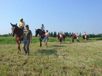 Конные Магазины Спб Список Конные Магазины Спб Список