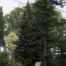 Фото Выставка современной парковой скульптуры в Ботаническом саду