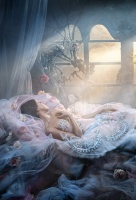 Спящая красавица