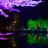 Фото Фестиваль Ночь света в Гатчине