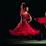 Фото Фестиваль “Flamenco en Rusia”