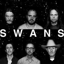 Концерт The Swans