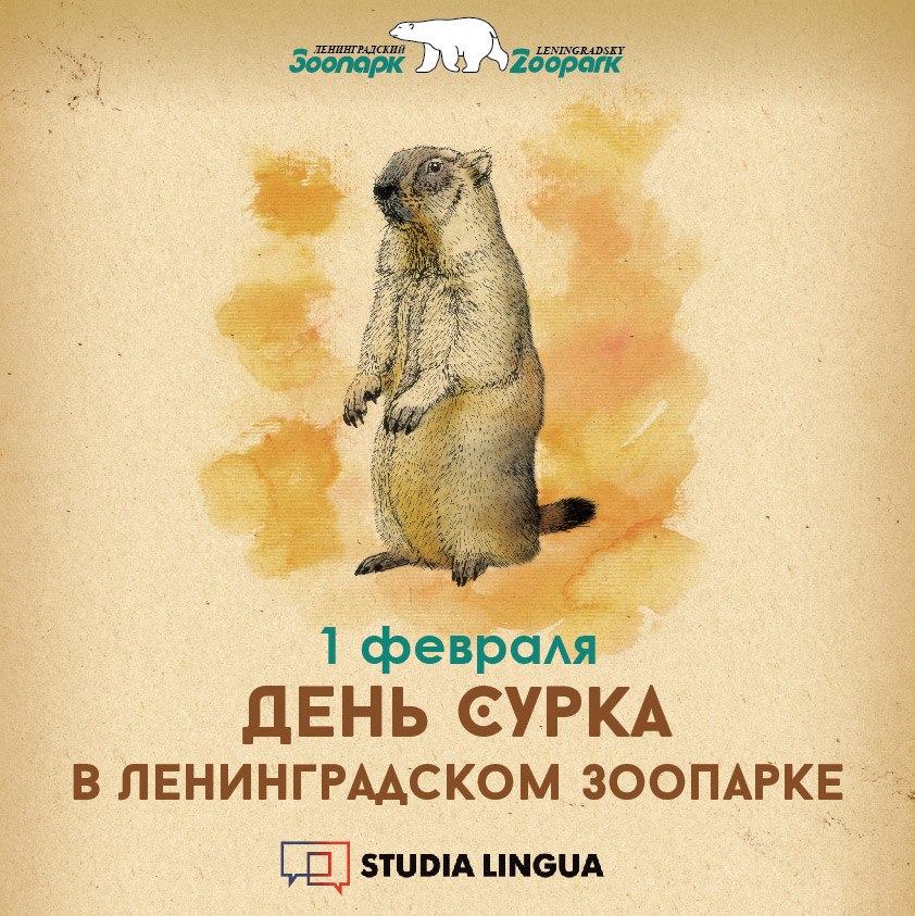 Порно Игра День Сурка