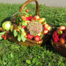 Фото Семейный праздник Яблочный полдень