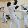 Фото Free Fight Karate
