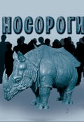 Носороги