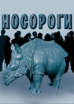 Носороги Носороги