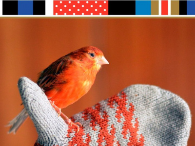 Фото Выставка Птички в рукавичке