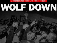Down wolfed wolf down