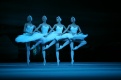 Фото БТ: Лебединое озеро (TheatreHD)