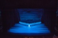 Фото БТ: Лебединое озеро (TheatreHD)