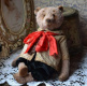 Международная выставка кукол и мишек Тедди 
