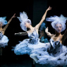 Фото XVI Международный фестиваль балета Dance Open