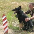 Федерация Военного Собаководства на Новоизмайловском