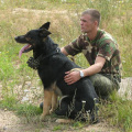 Федерация военного собаководства на Косой линии