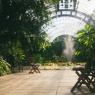 Фото Оранжерея Таврического сада