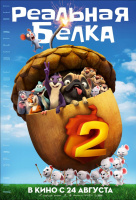Реальная белка 2 Реальная белка 2
