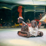 Фото Шоу Бронебот: бои роботов