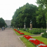 Фото Памятник Щукину А. Н.